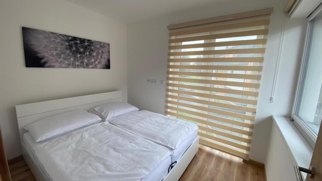 Apartmany - Male Lipno Černá v Pošumaví Εξωτερικό φωτογραφία
