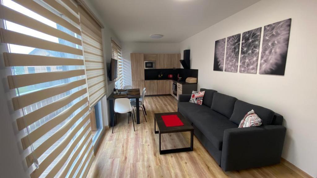 Apartmany - Male Lipno Černá v Pošumaví Εξωτερικό φωτογραφία
