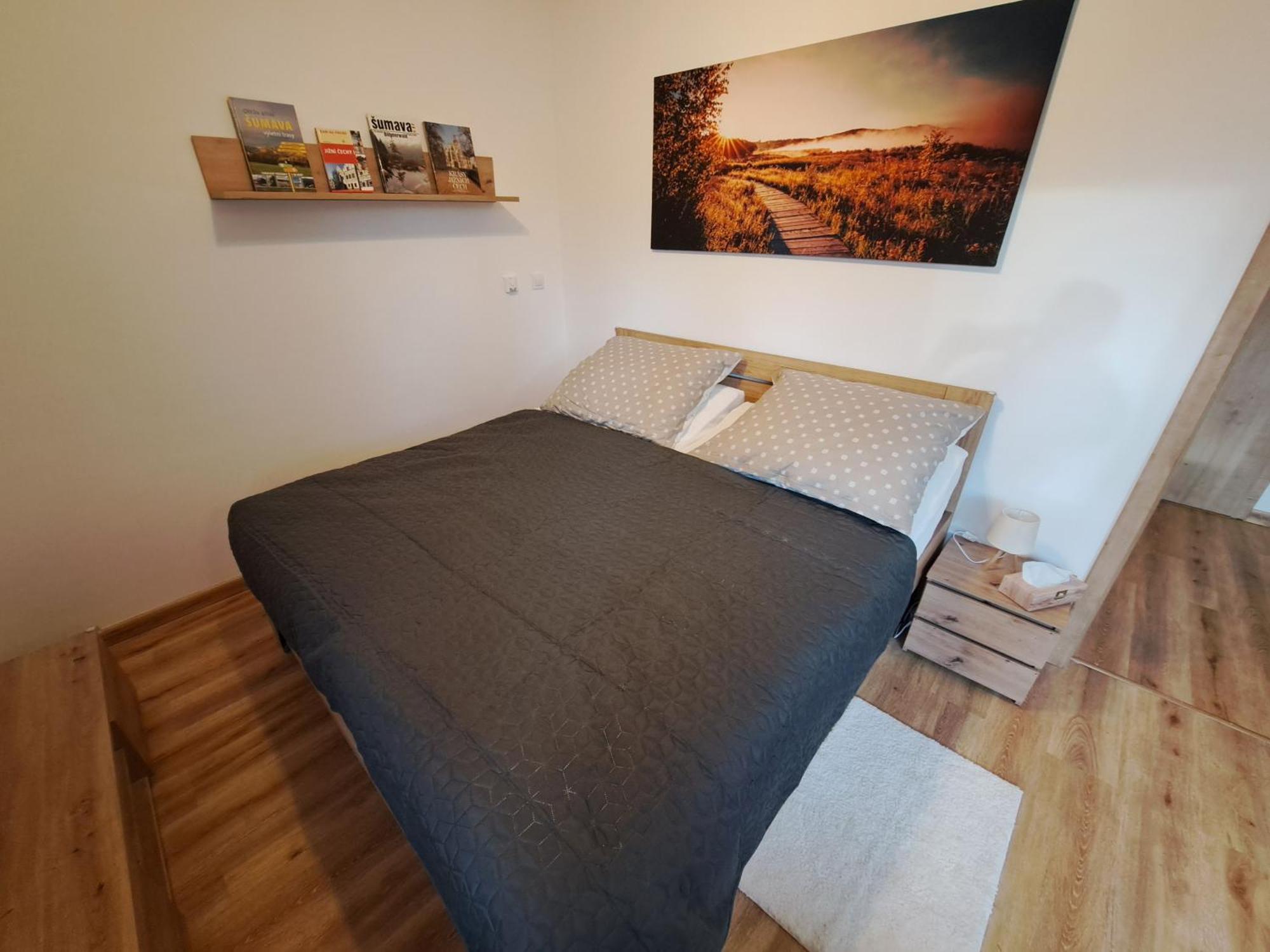 Apartmany - Male Lipno Černá v Pošumaví Δωμάτιο φωτογραφία