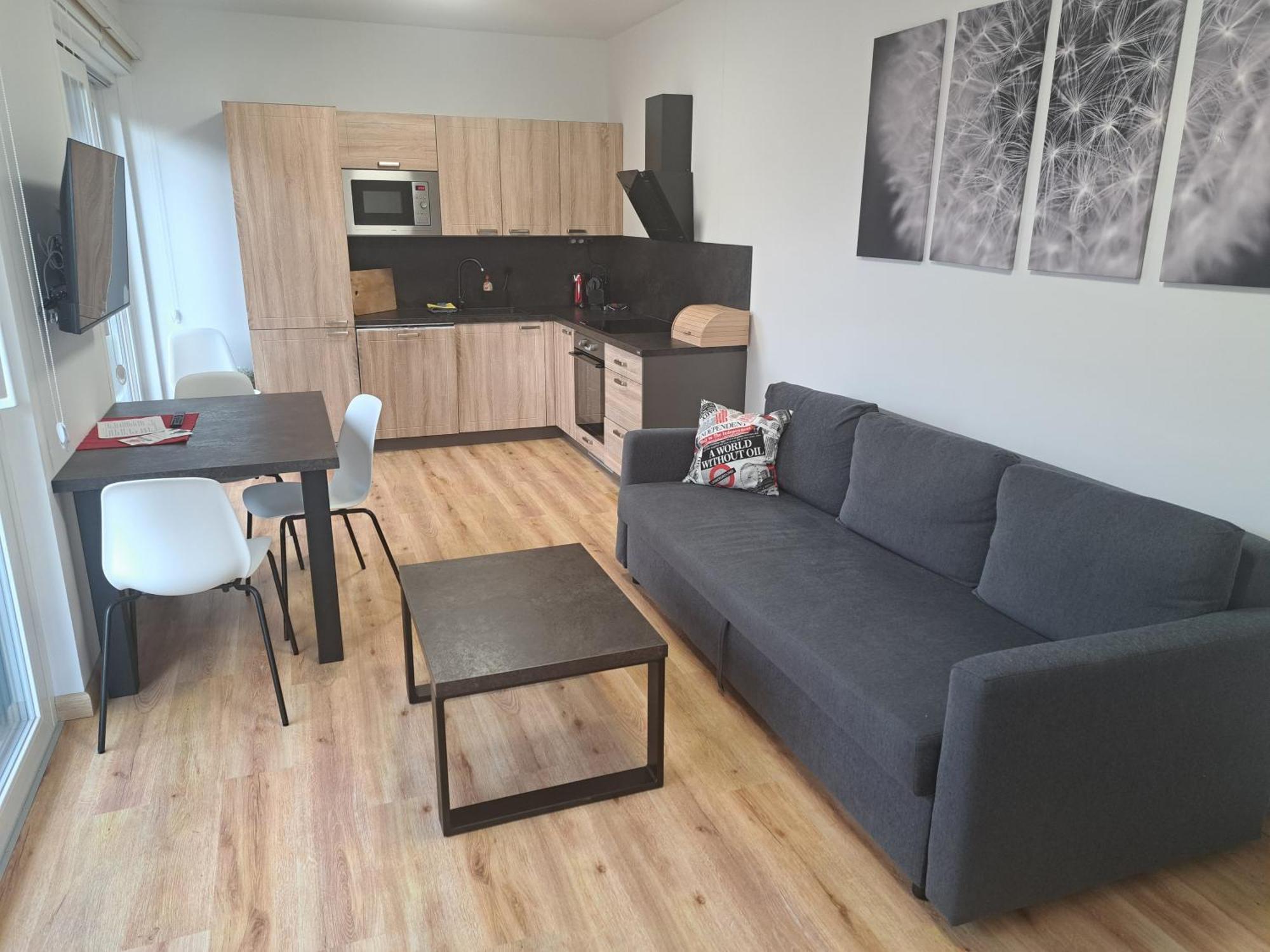 Apartmany - Male Lipno Černá v Pošumaví Δωμάτιο φωτογραφία